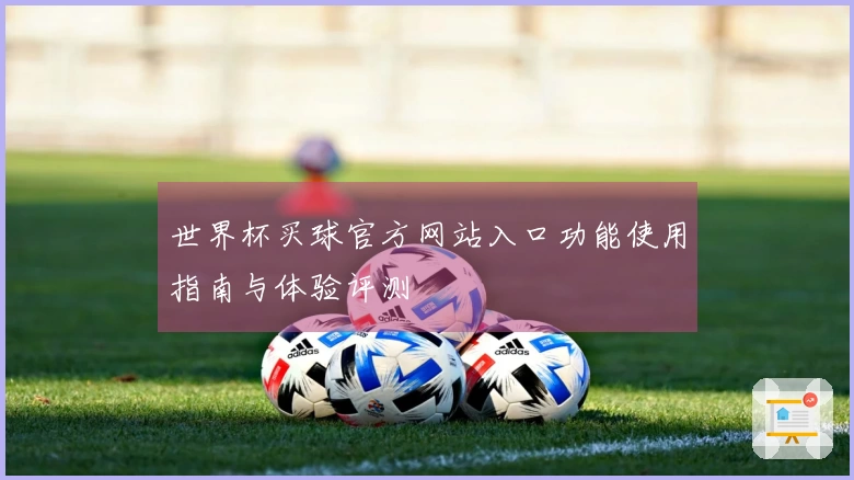 世界杯买球官方网站入口功能使用指南与体验评测