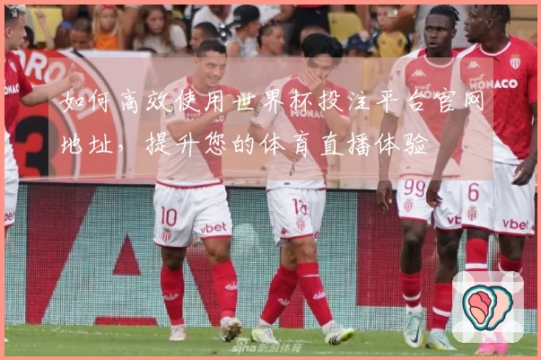 如何高效使用世界杯投注平台官网地址，提升您的体育直播体验