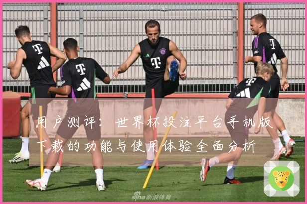 用户测评：世界杯投注平台手机版下载的功能与使用体验全面分析