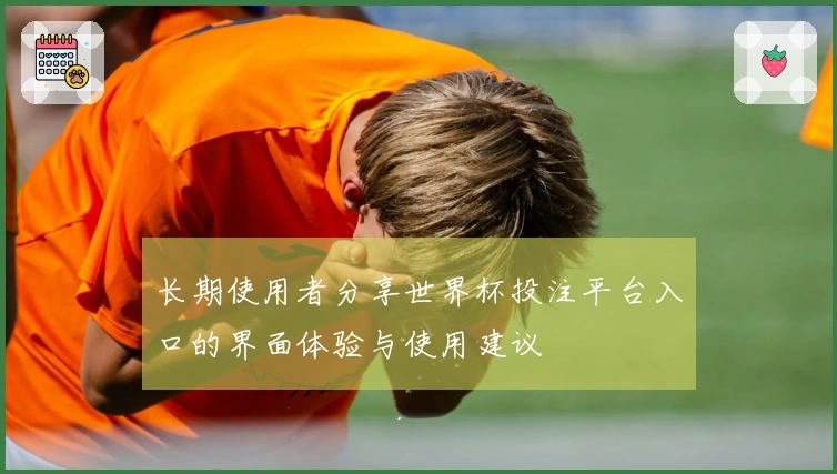 长期使用者分享世界杯投注平台入口的界面体验与使用建议