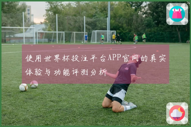使用世界杯投注平台APP官网的真实体验与功能评测分析