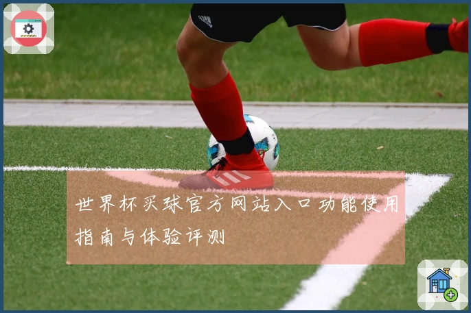 世界杯买球官方网站入口功能使用指南与体验评测