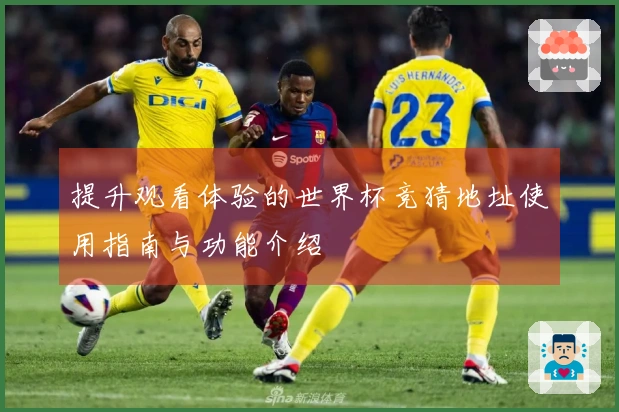 提升观看体验的世界杯竞猜地址使用指南与功能介绍