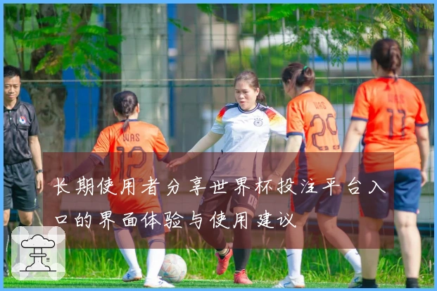 长期使用者分享世界杯投注平台入口的界面体验与使用建议