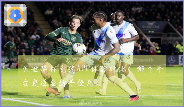 买世界杯竞猜APP体验对比，哪个平台更适合新手使用？