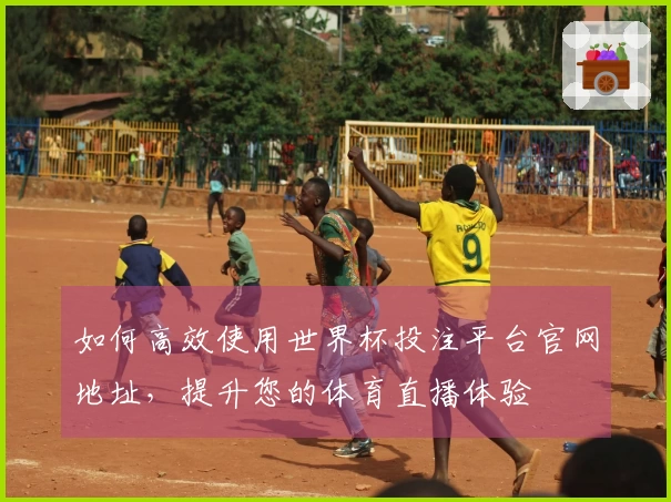 如何高效使用世界杯投注平台官网地址,提升您的体育直播体验