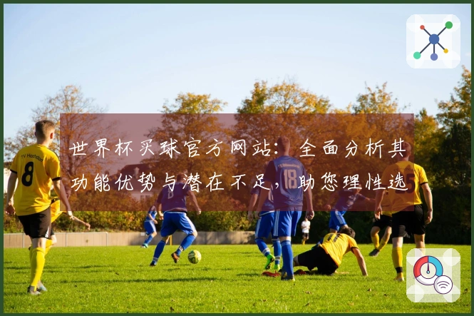 世界杯买球官方网站:全面分析其功能优势与潜在不足,助您理性选择