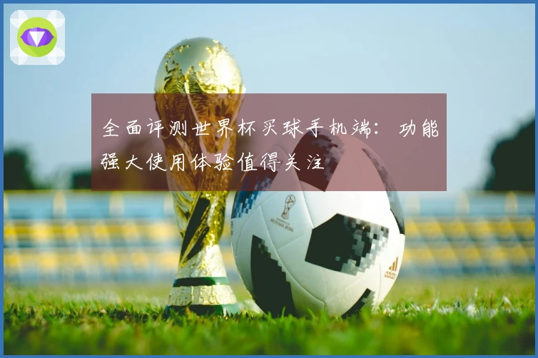 全面评测世界杯买球手机端：功能强大使用体验值得关注
