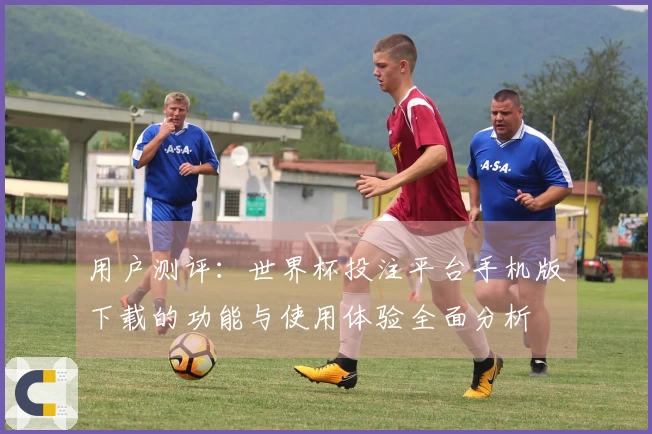 用户测评：世界杯投注平台手机版下载的功能与使用体验全面分析