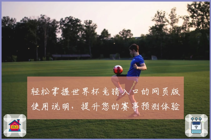 轻松掌握世界杯竞猜入口的网页版使用说明，提升您的赛事预测体验