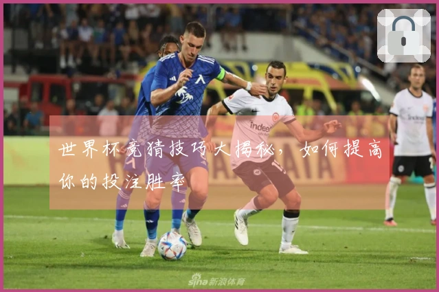 世界杯竞猜技巧大揭秘，如何提高你的投注胜率