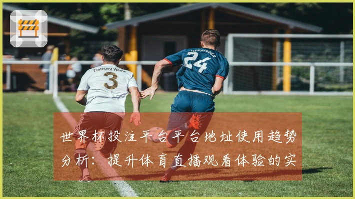 世界杯投注平台平台地址使用趋势分析：提升体育直播观看体验的实用指南