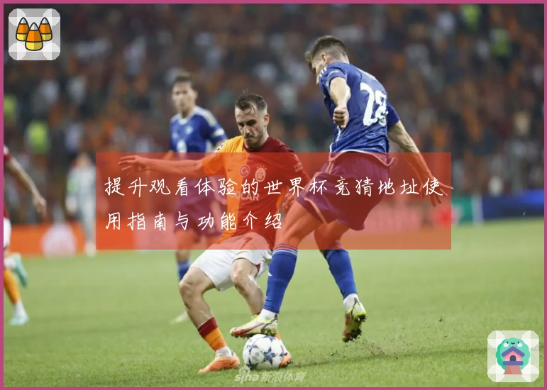 提升观看体验的世界杯竞猜地址使用指南与功能介绍