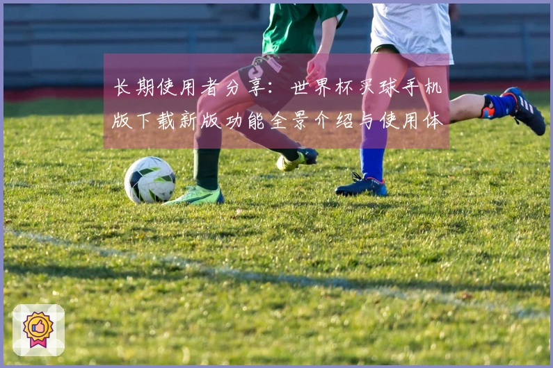 长期使用者分享：世界杯买球手机版下载新版功能全景介绍与使用体验分析