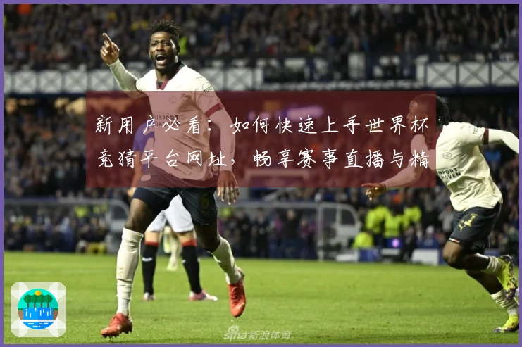 新用户必看：如何快速上手世界杯竞猜平台网址，畅享赛事直播与精彩功能