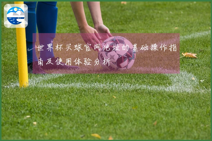 世界杯买球官网地址的基础操作指南及使用体验分析
