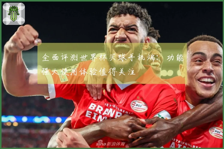 全面评测世界杯买球手机端：功能强大使用体验值得关注