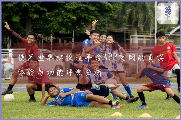 使用世界杯投注平台APP官网的真实体验与功能评测分析